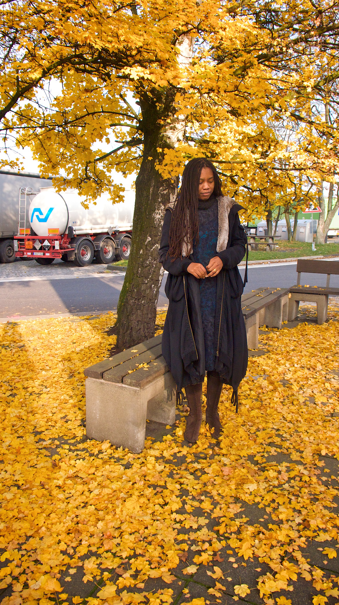 ToT-auriea-autumnleaves.png